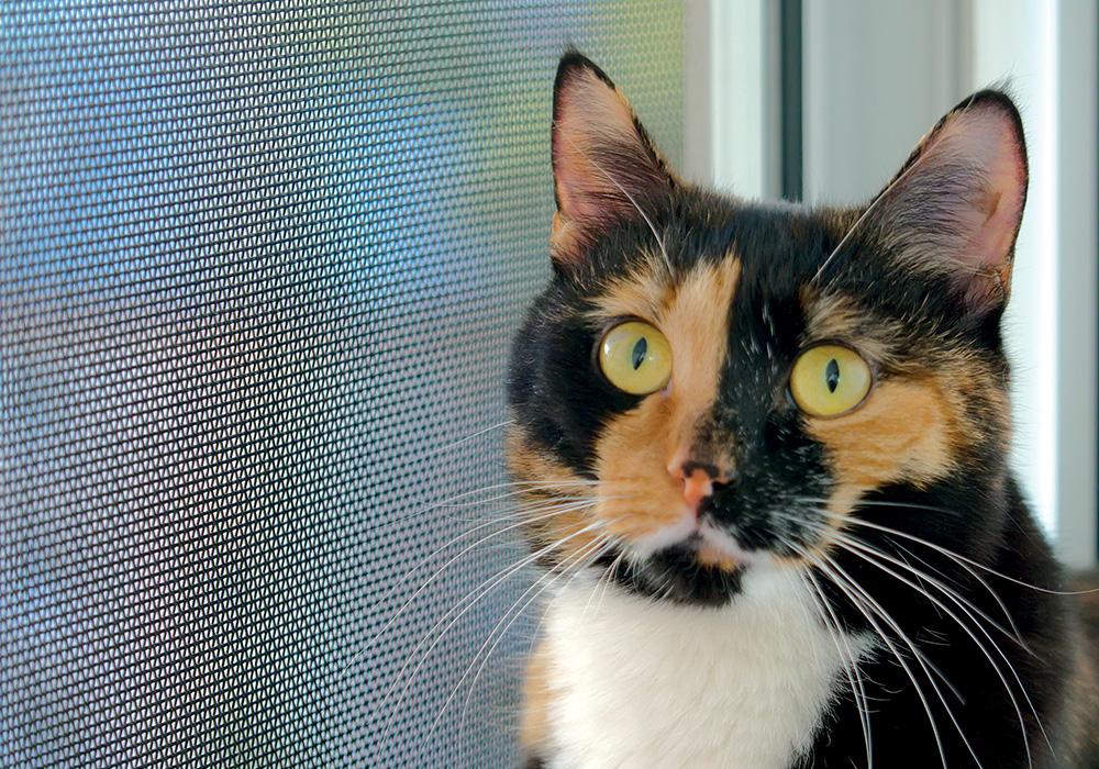 Mosquiteras para ventanas